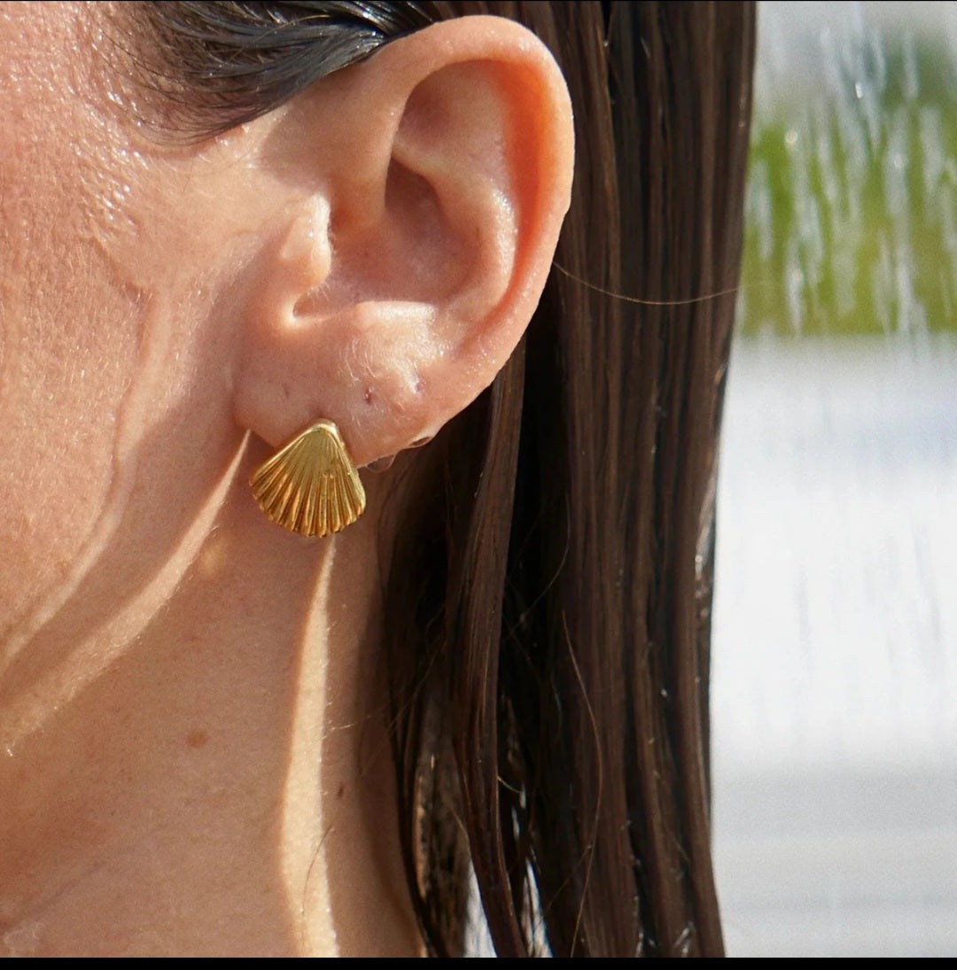 Shell Earring