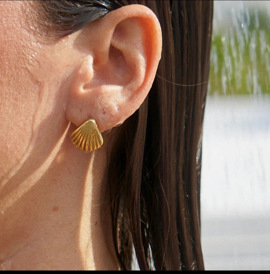 Shell Earrings